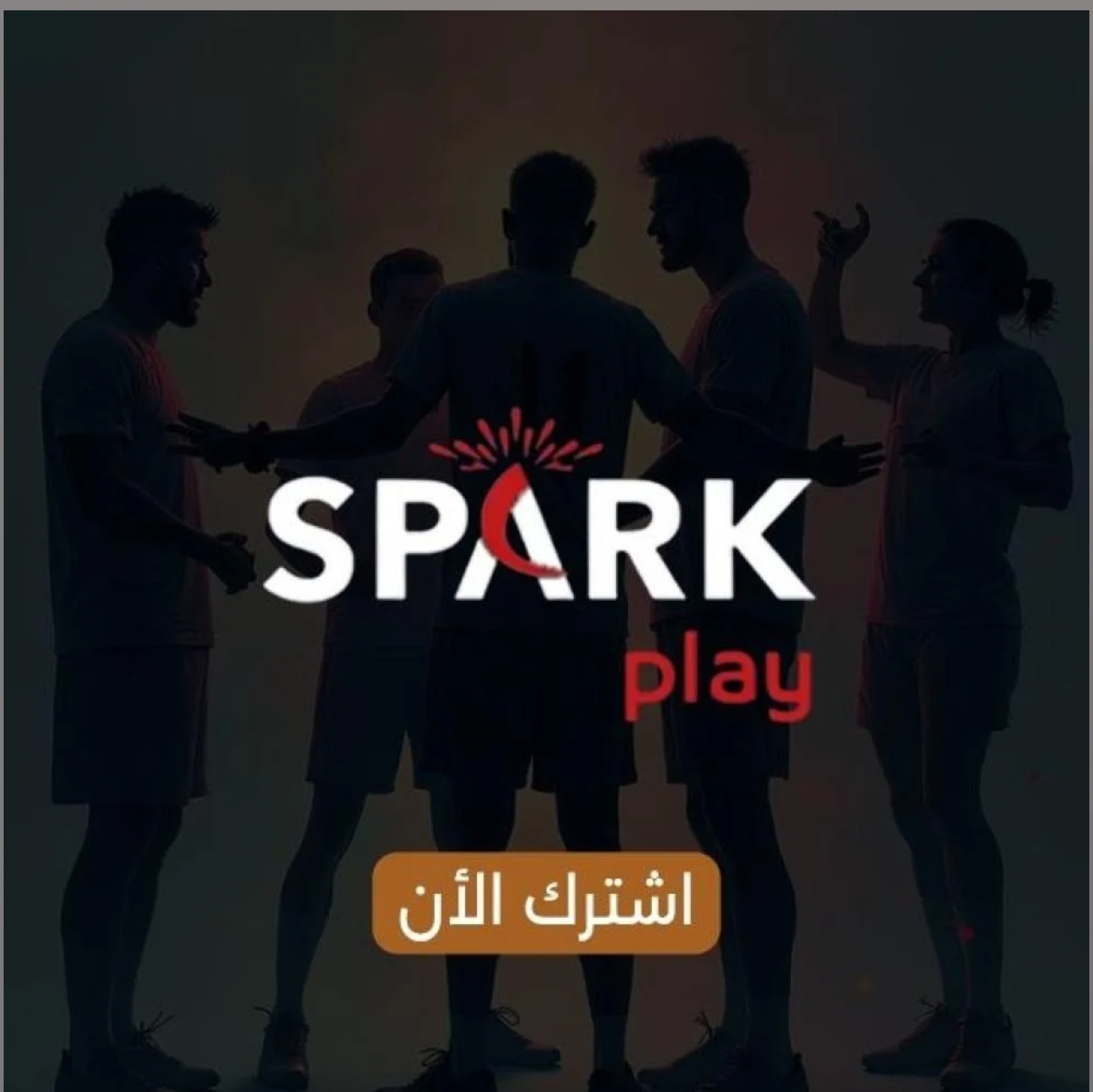 IPTV SPARK PLAY 12 MONTHS 