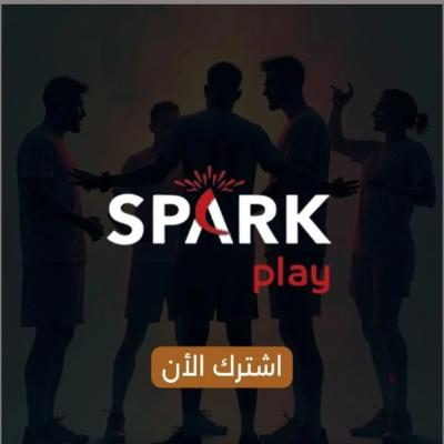 IPTV SPARK PLAY 12 MONTHS 
